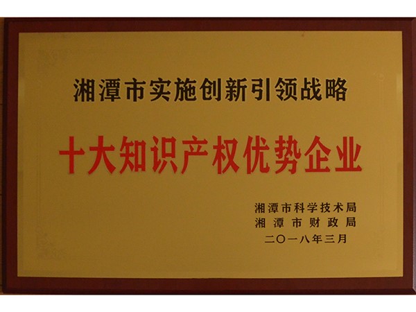 湘潭市十大知识产权优势企业