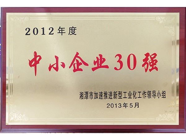 中小企业30强