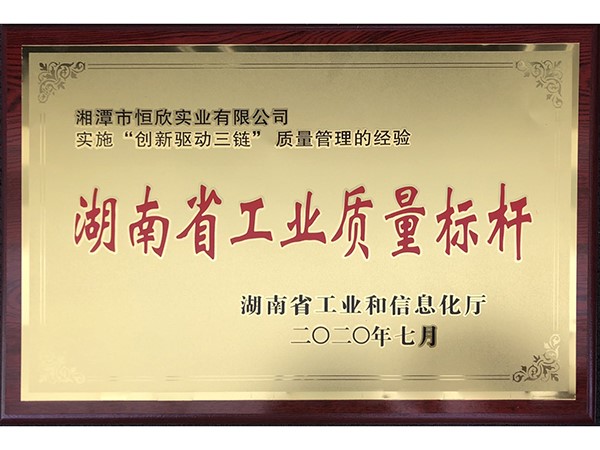 湖南省工业质量标杆