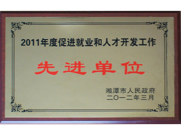 促进就业和人才开发工作 先进单位