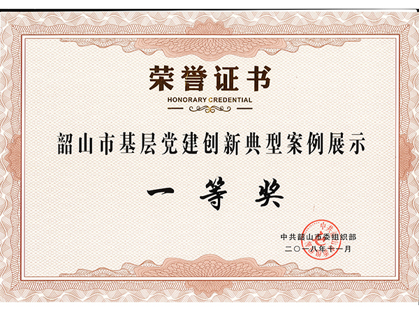 韶山市基层党建创新典型案例展示一等奖