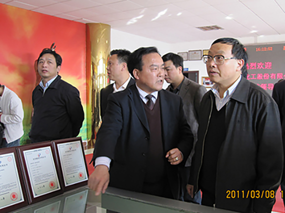 省政协副主席、省委组织部常务副部长武吉海先生一行莅临我公司视察指导工作