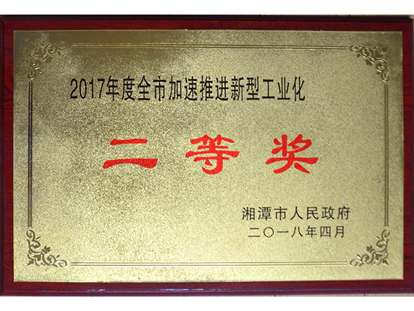 全市加速推进新型工业化二等奖