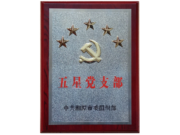 五星党支部