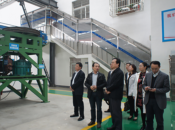 国家工商联副主席谢经荣一行莅临我公司考察指导工作