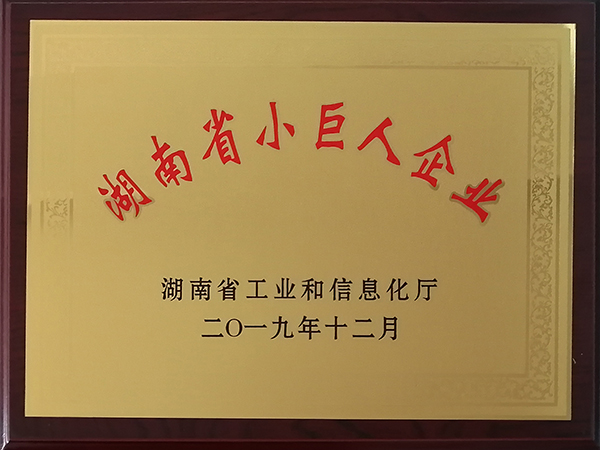 湖南省小巨人企业 