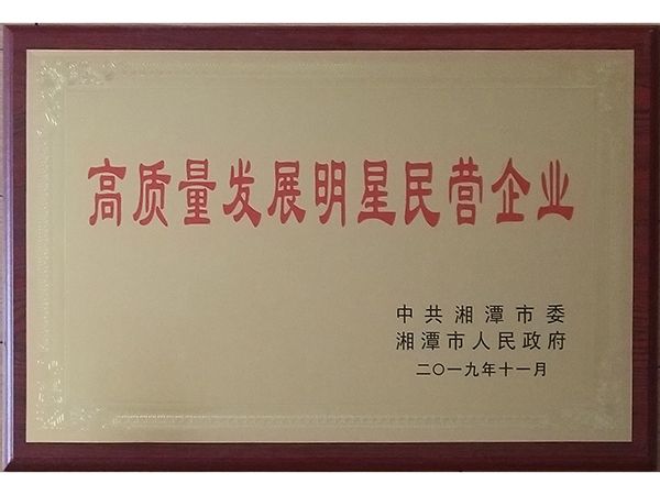 高质量发展明星民营企业