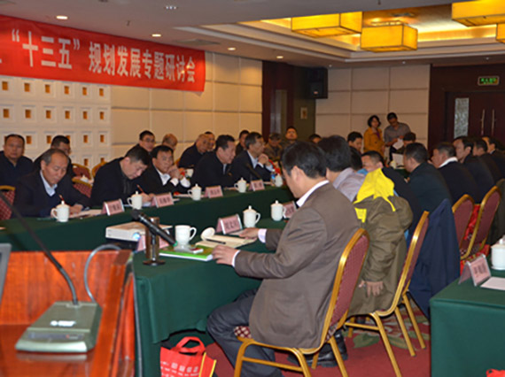 【湘潭恒欣】承办“国家矿用单轨吊和架空乘人装置‘十三五’规划发展专题研讨会”