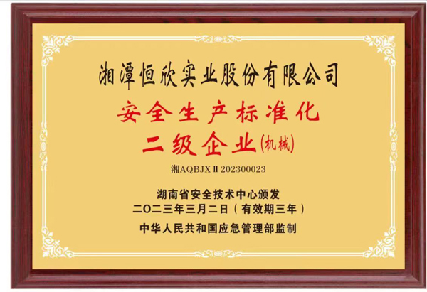我司认定为安全生产标准化二级企业