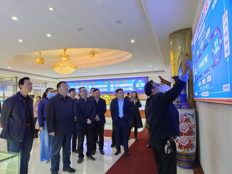 湖南省工信厅副厅长张治平一行莅临我司视察工作