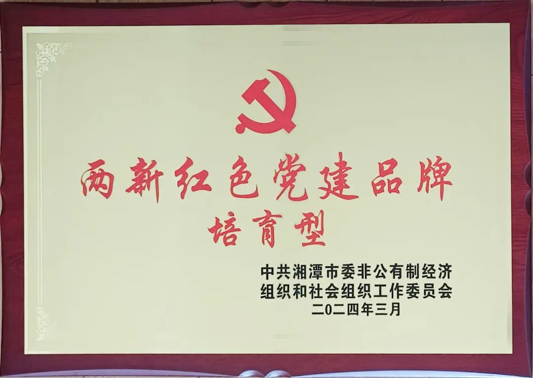 喜讯：我司荣获多项市级荣誉