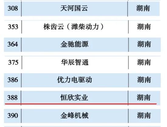 恒欣股份上榜“2024工业互联网500强”