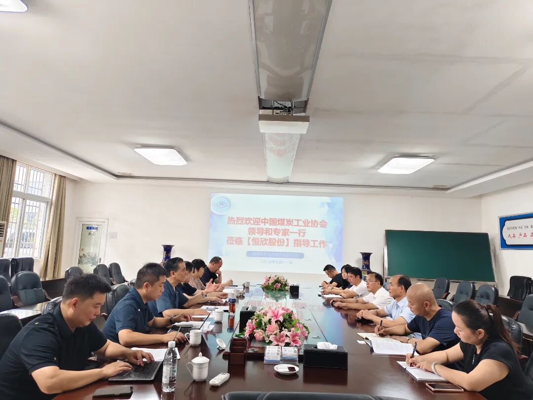 中国煤炭工业协会领导莅临我司视察指导
