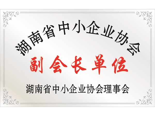 湖南省中小企业协会副会长单位